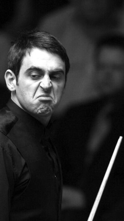 在政策的倾 在政策的倾