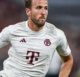 穆勒和约书 穆勒和约书